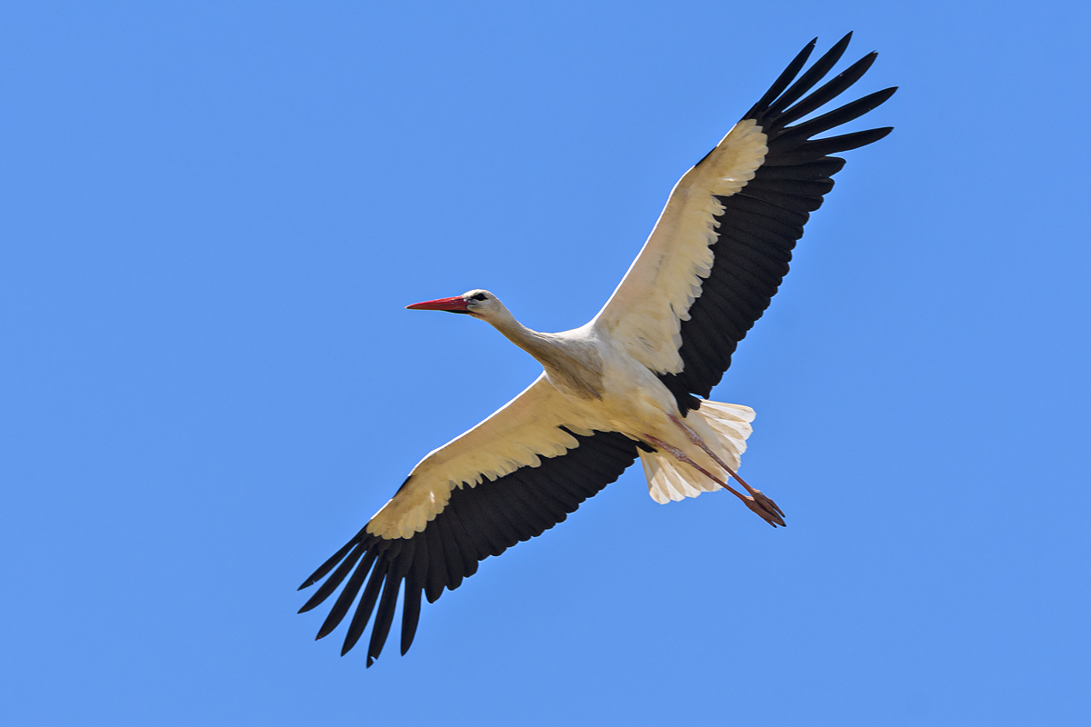 OF5_55280.jpg
