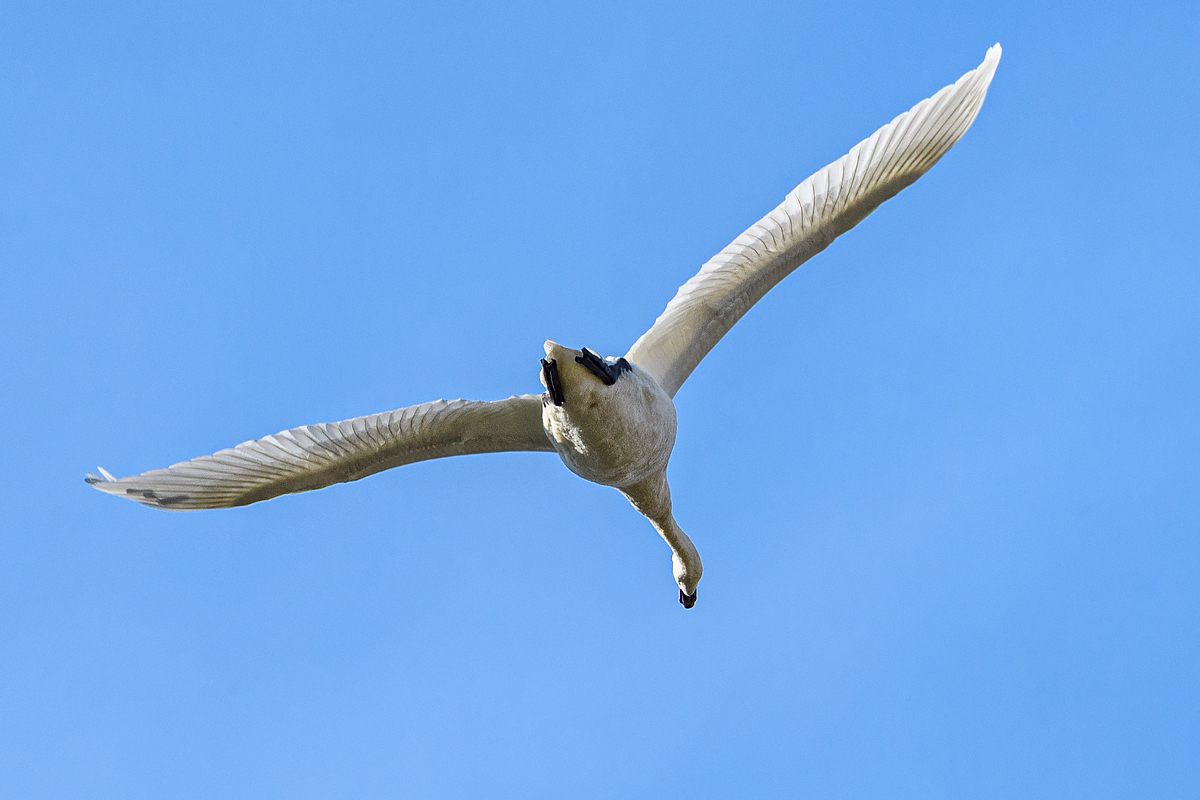 OF5_55920.jpg