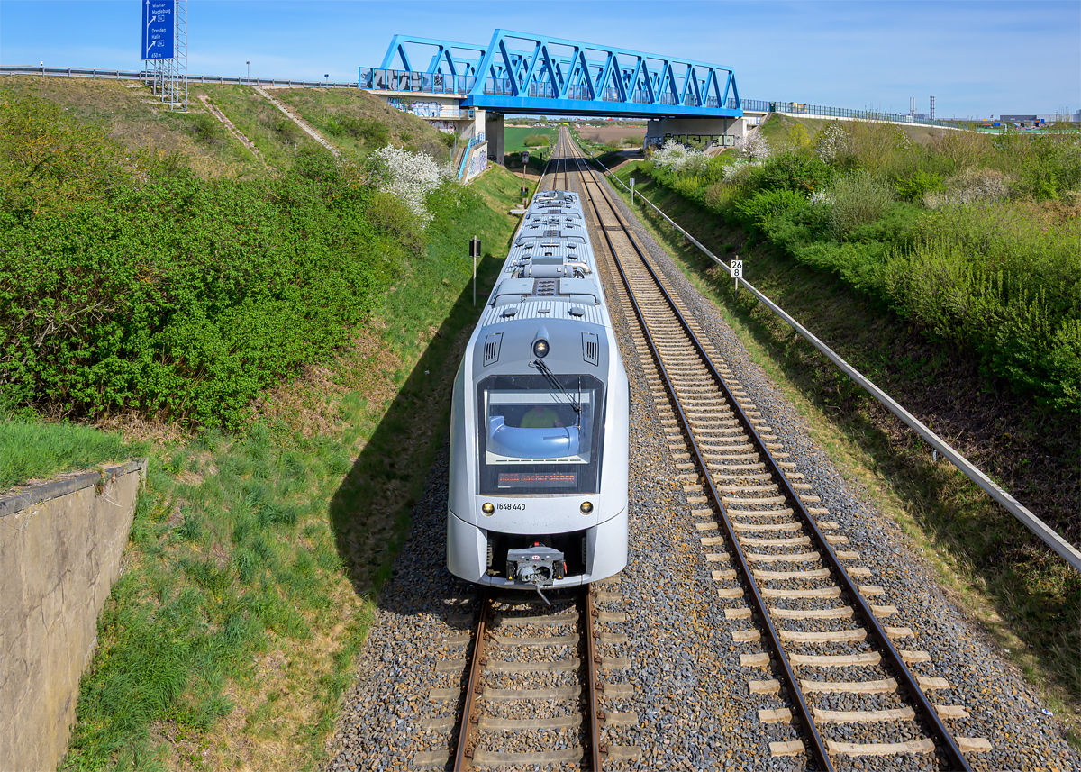 OFZ_00118.jpg