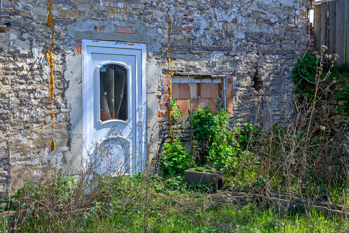 OFZ_00209.jpg