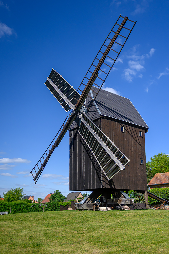 OFZ_00422.jpg