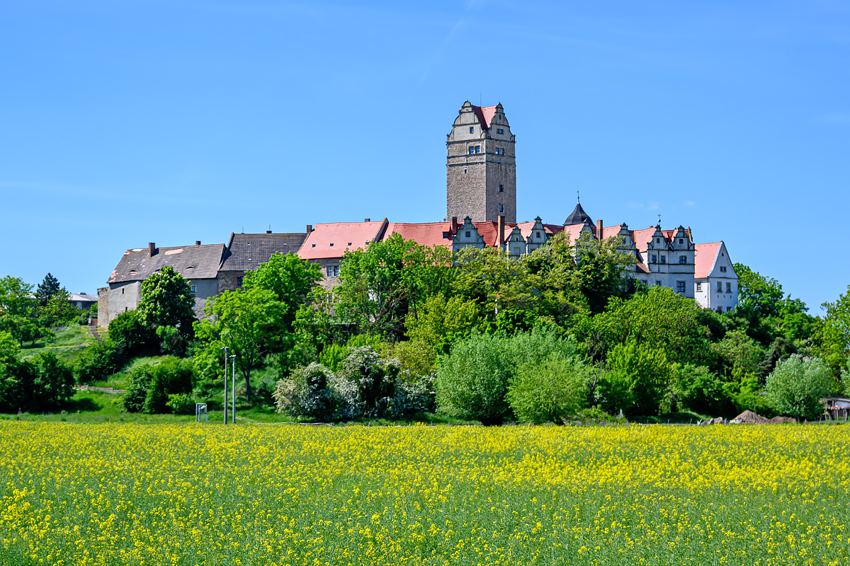 OFZ_00518.jpg