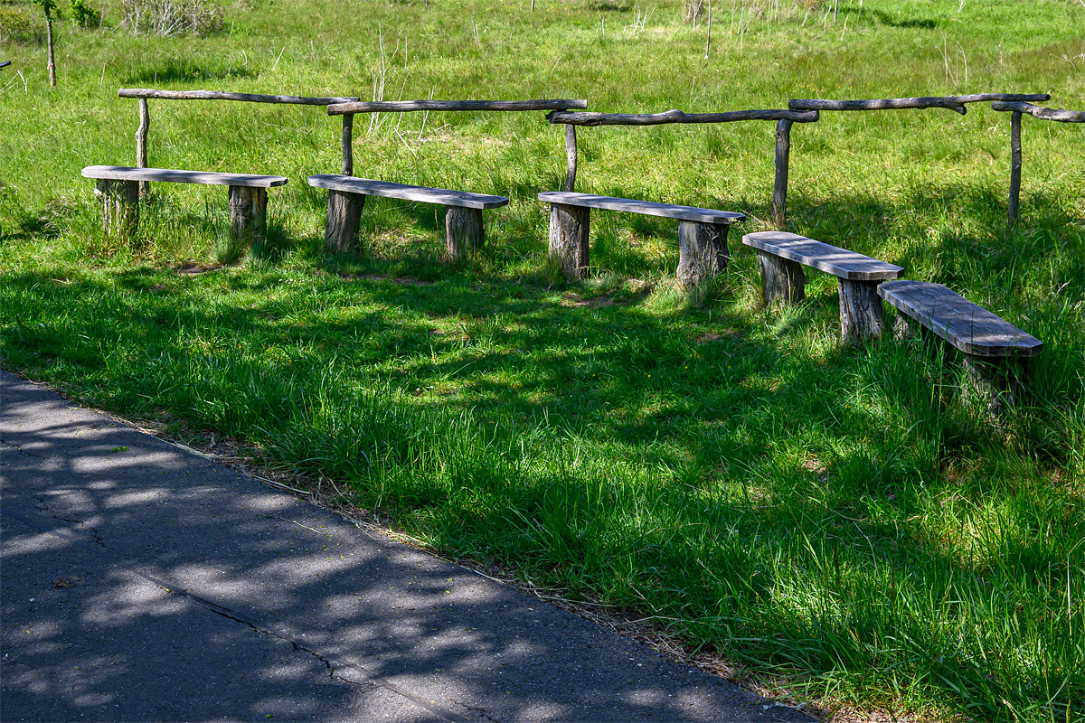 OFZ_00558.jpg