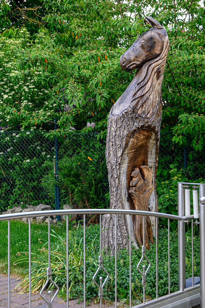 OFZ_00720.jpg