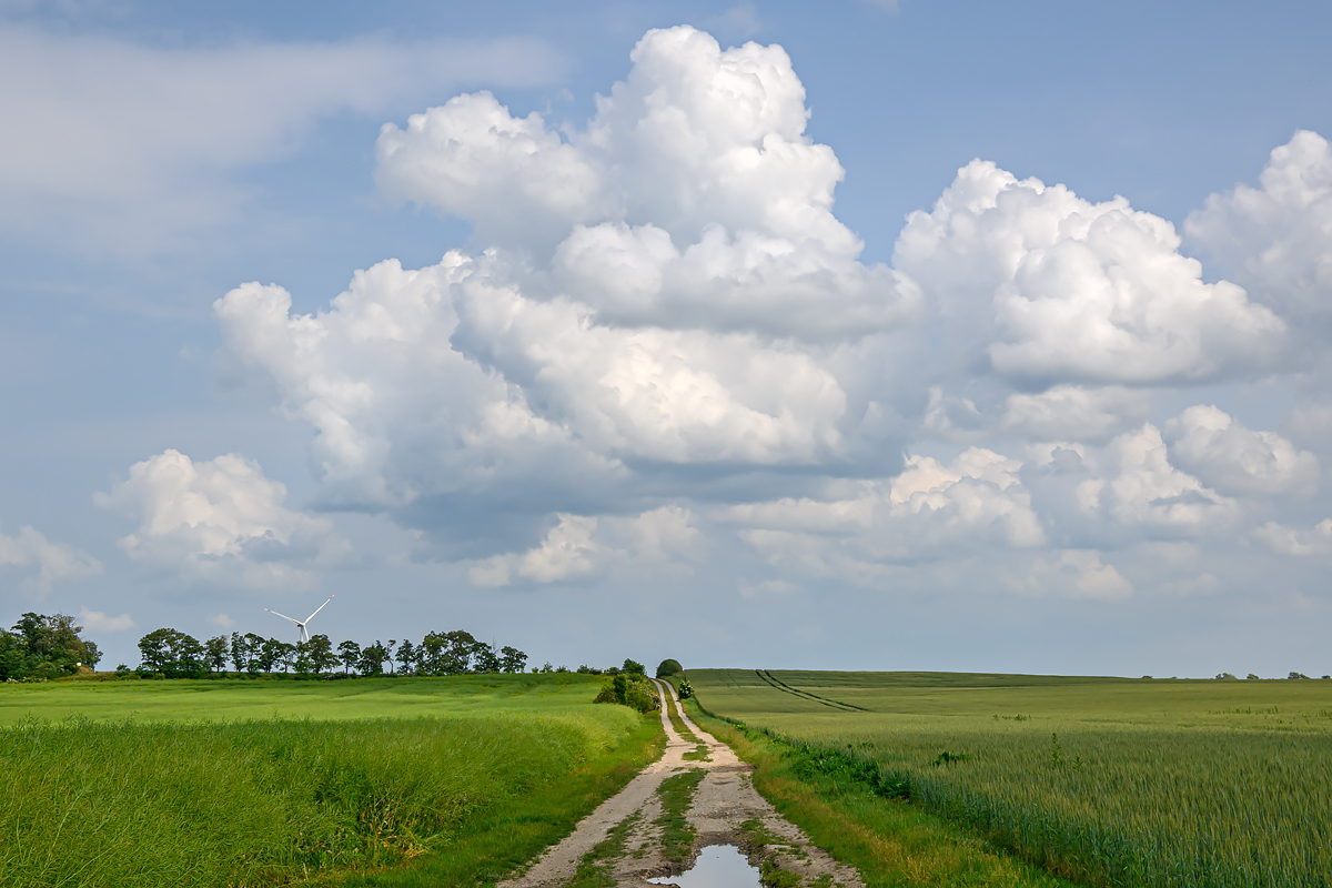 OFZ_00830.jpg