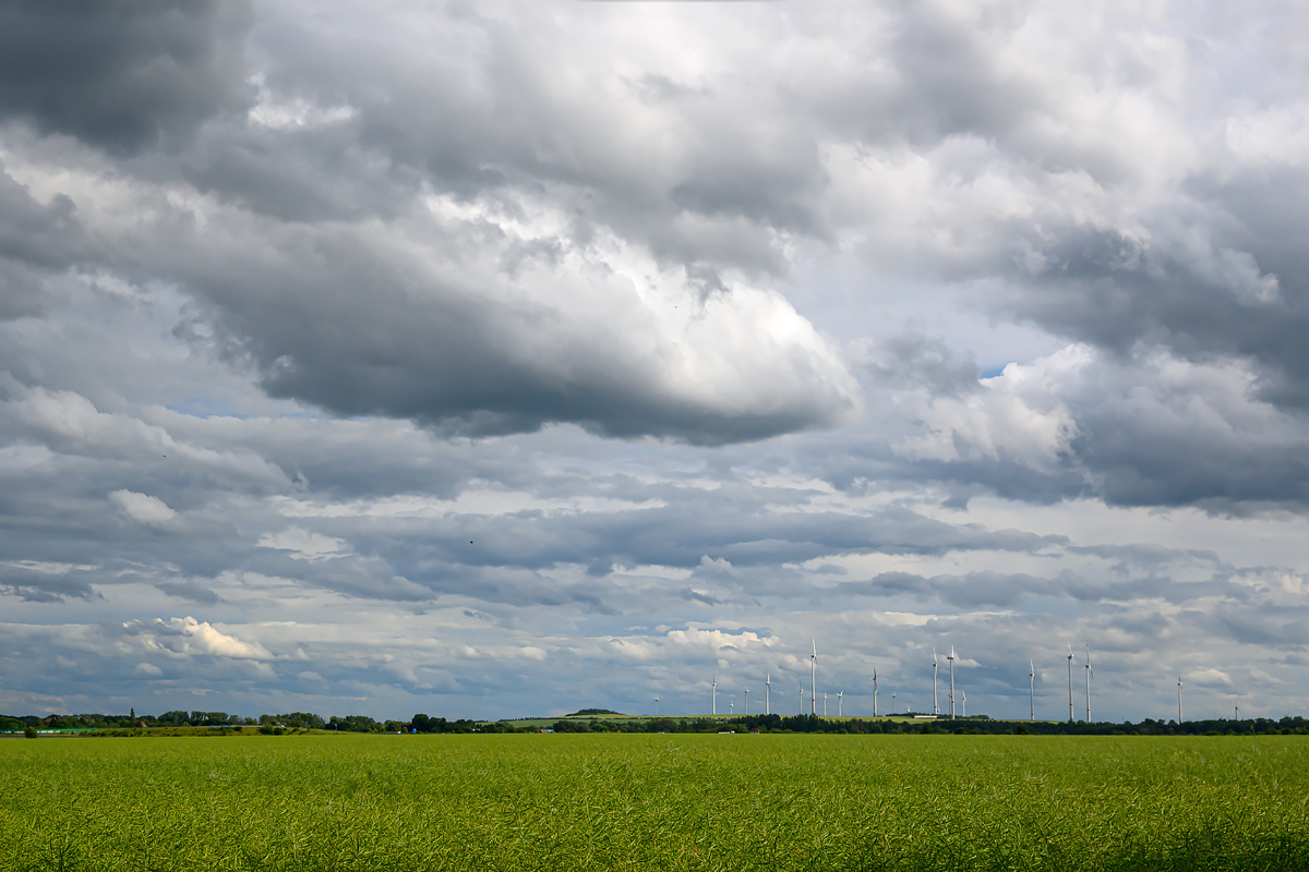 OFZ_01062.jpg