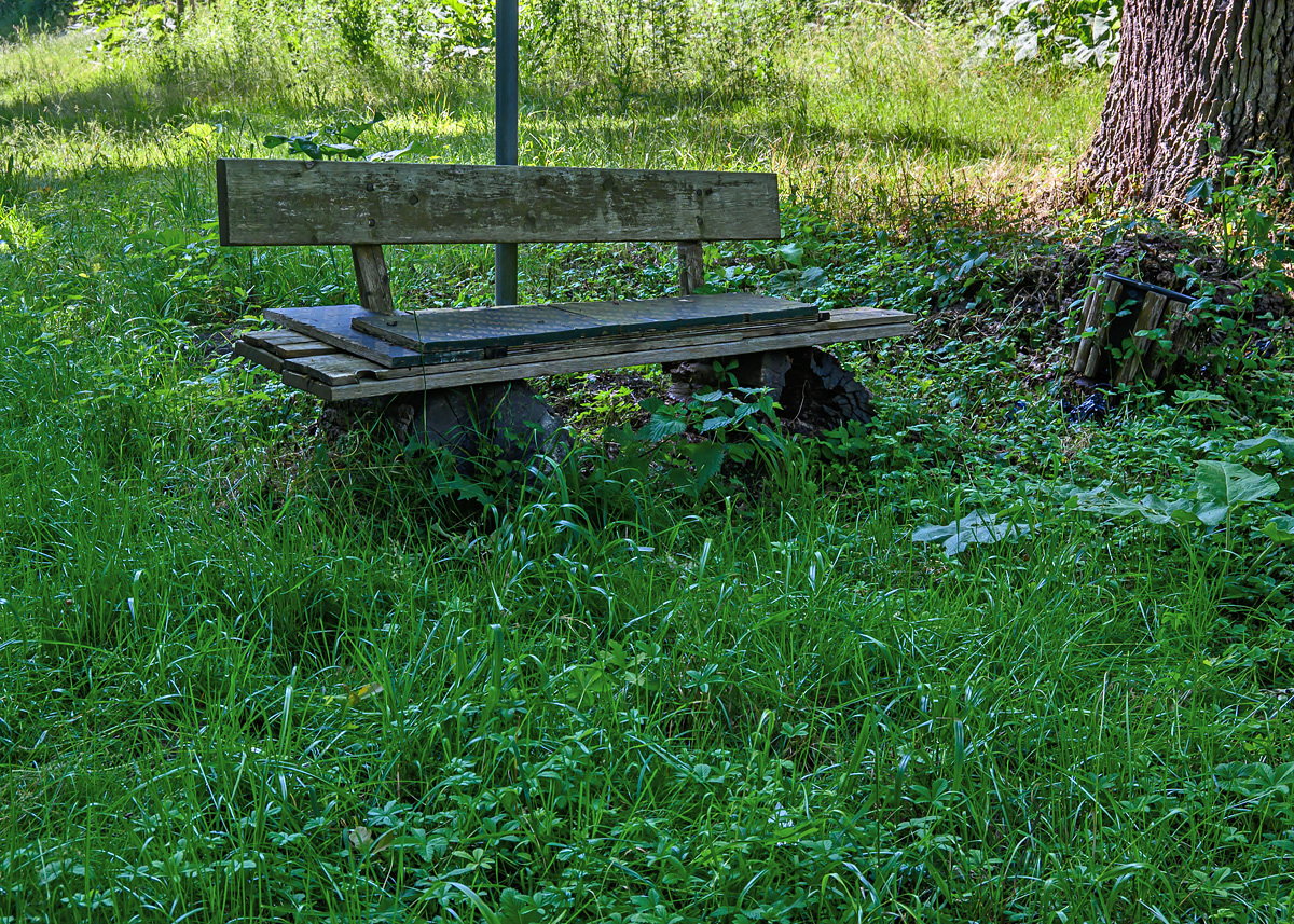OFZ_01134.jpg