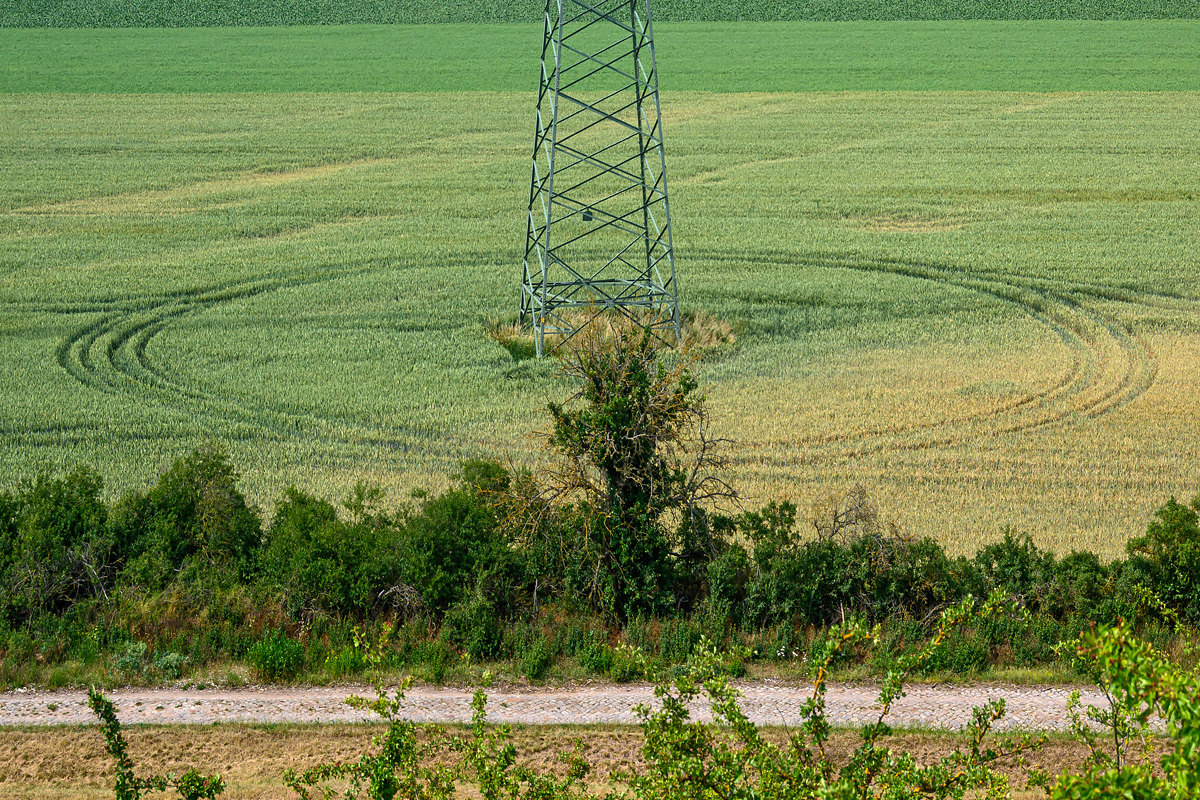 OFZ_01249.jpg