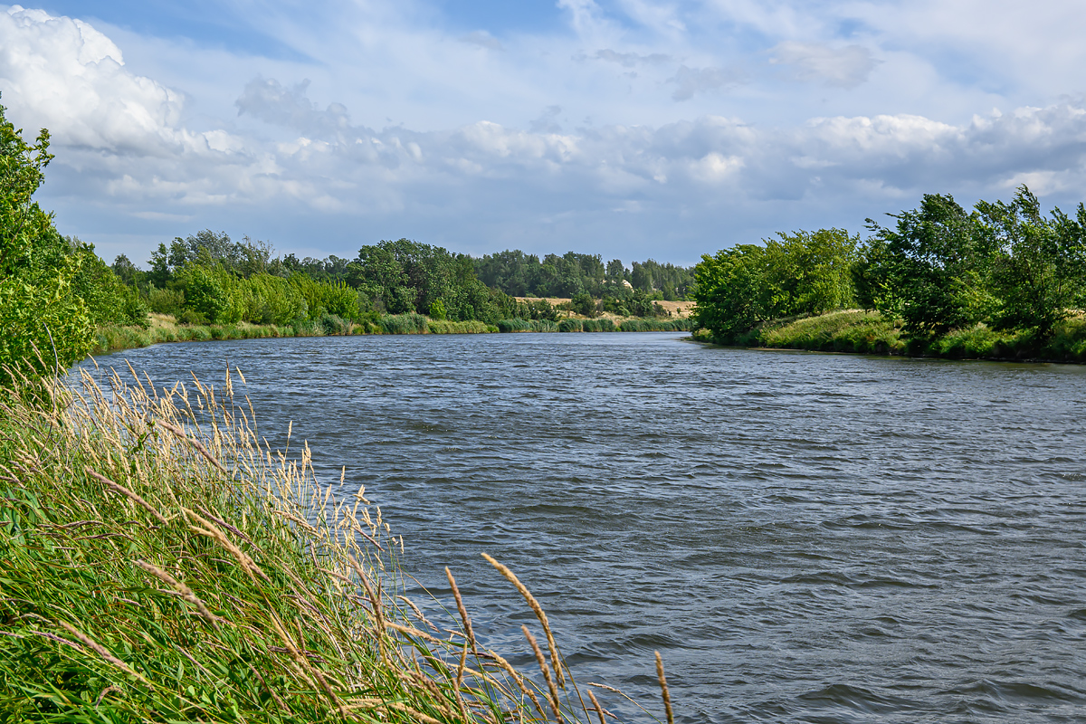 OFZ_01379.jpg