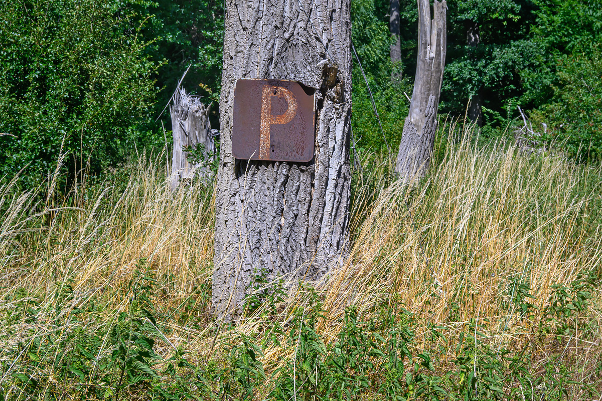 OFZ_01586.jpg