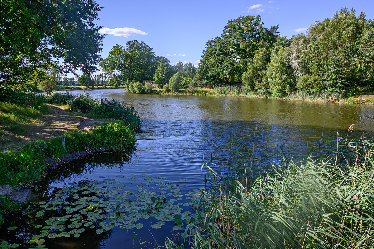 OFZ_01625.jpg