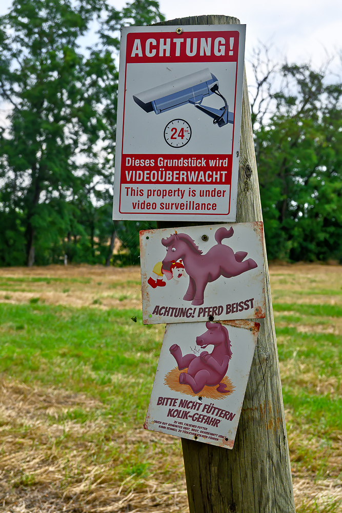 OFZ_01705.jpg