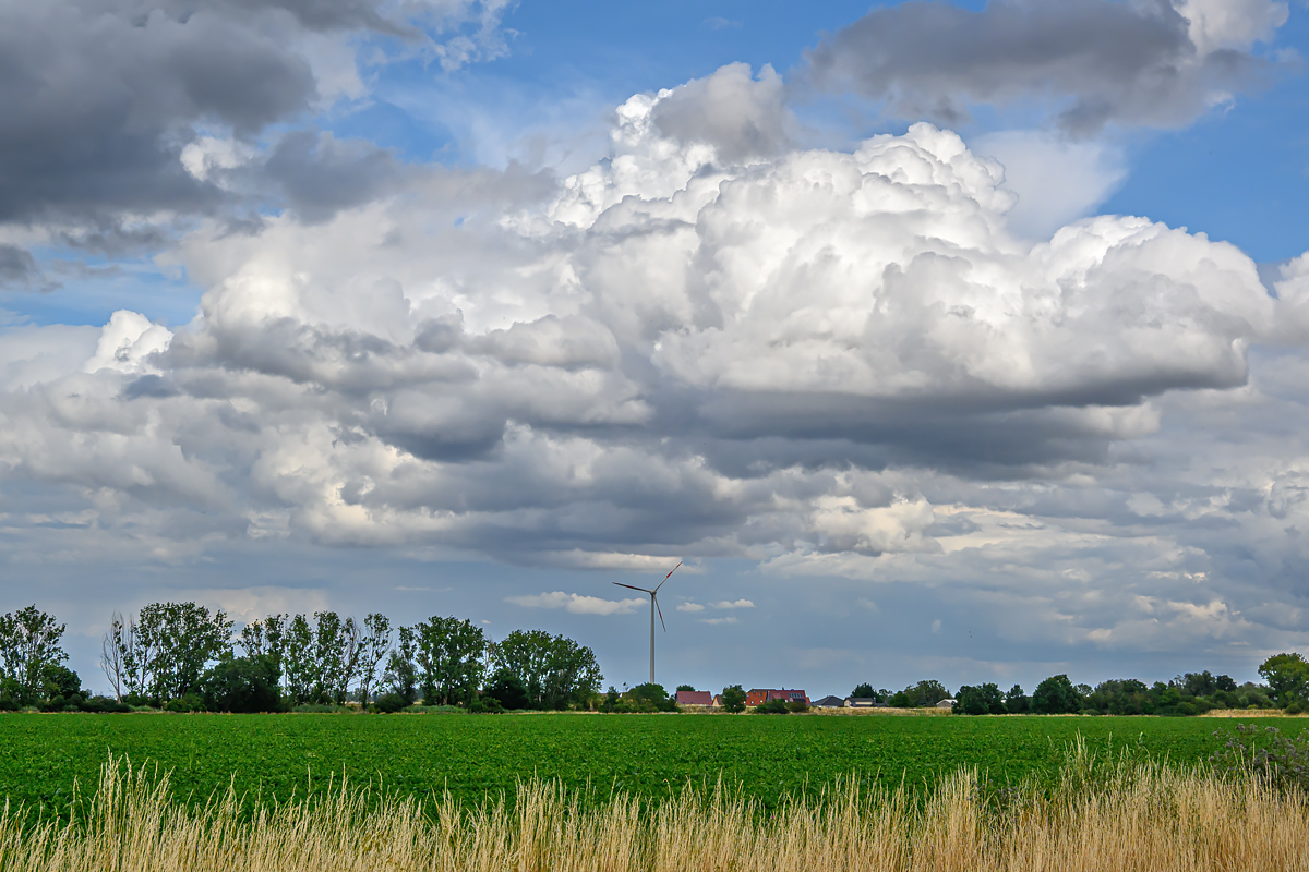 OFZ_01710.jpg