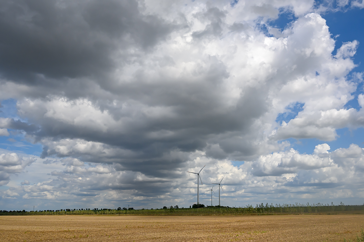 OFZ_01746.jpg