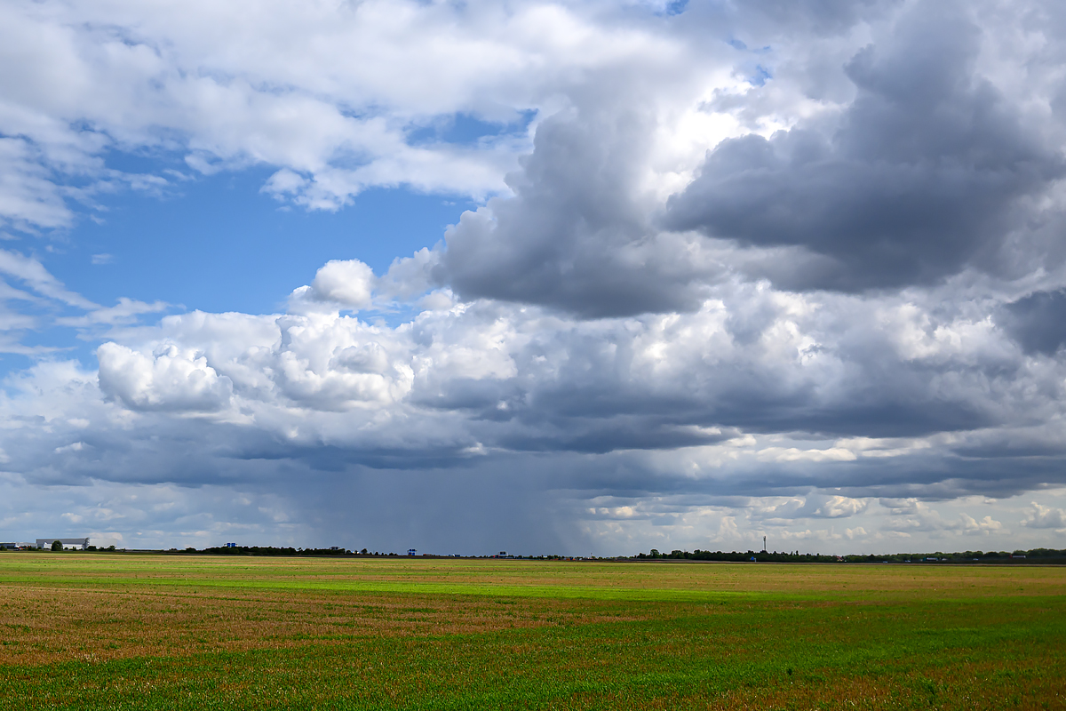 OFZ_01817.jpg