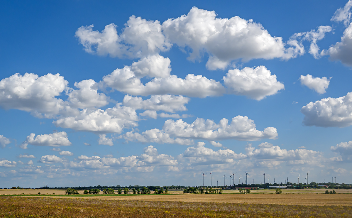 OFZ_01826.jpg