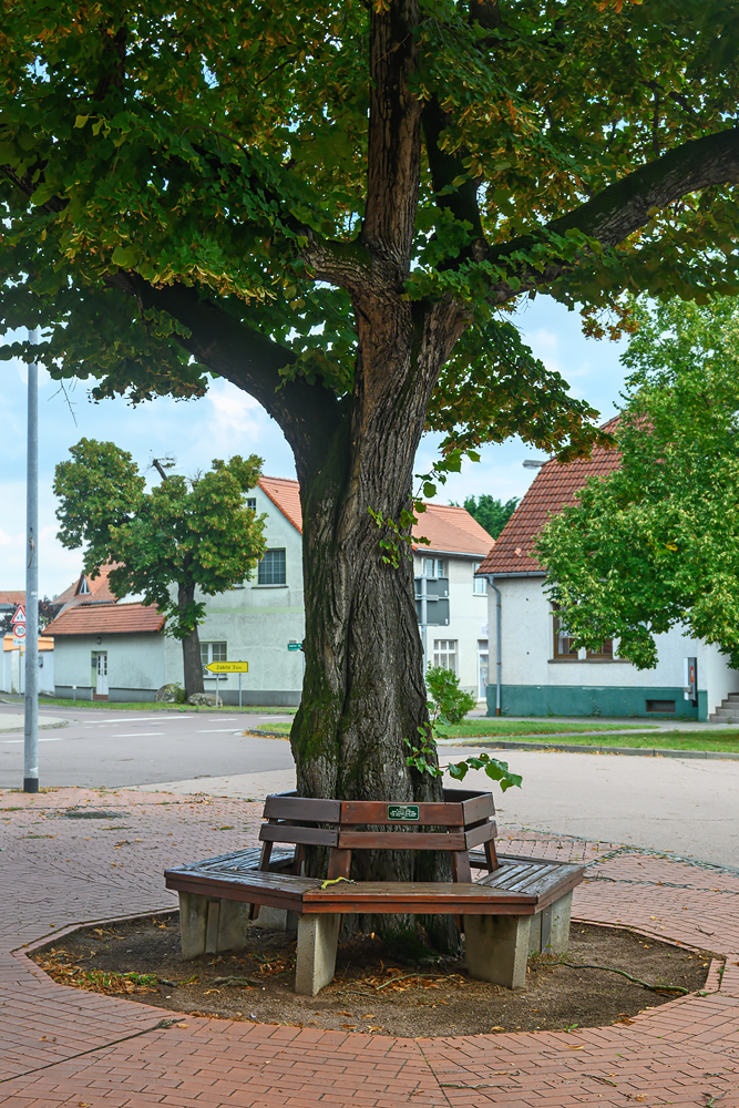 OFZ_02119.jpg