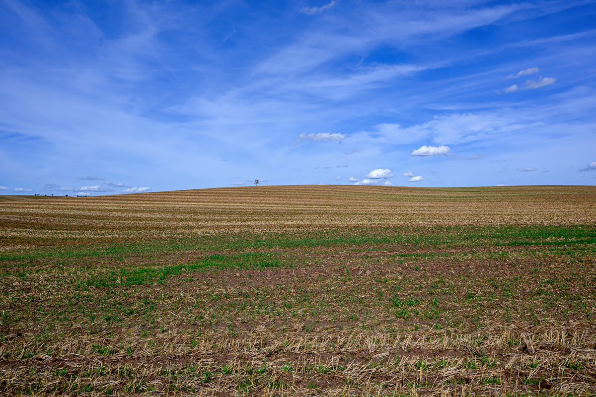 OFZ_02192.jpg