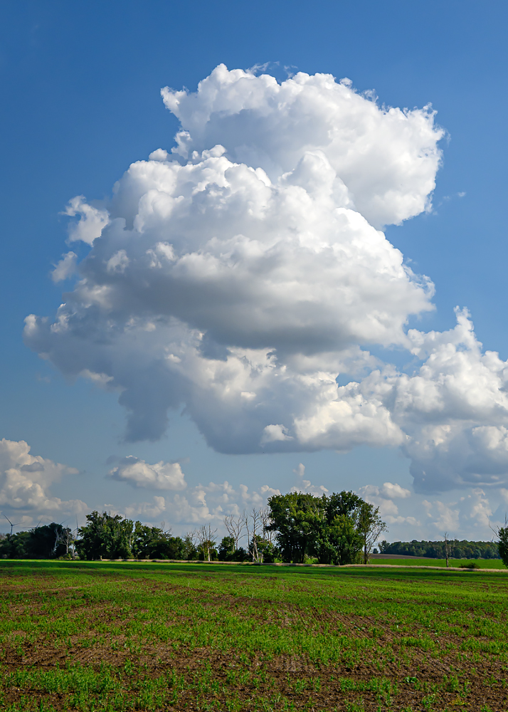 OFZ_02279.jpg