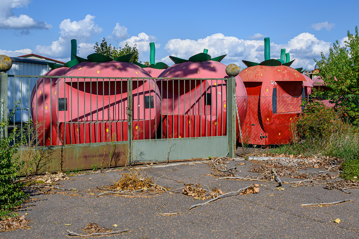 OFZ_02294.jpg