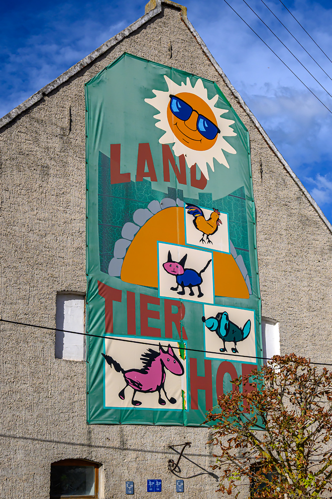 OFZ_02419.jpg