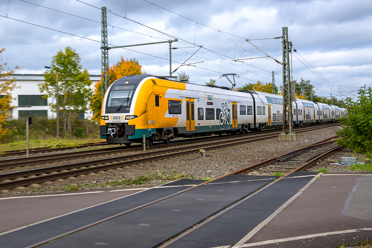 OFZ_02595.jpg