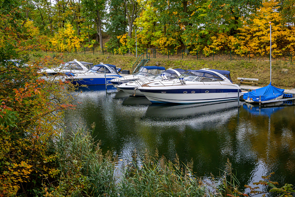 OFZ_02613.jpg