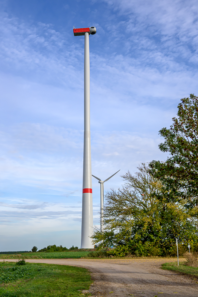 OFZ_02721.jpg