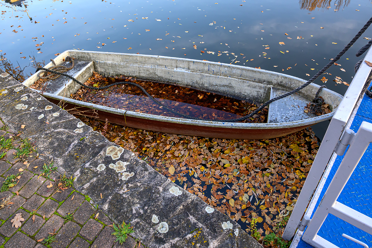 OFZ_02820.jpg