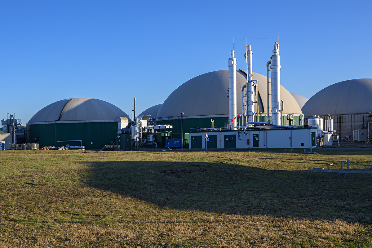 OFZ_02984.jpg