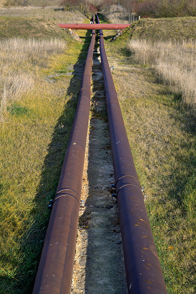OFZ_03094.jpg