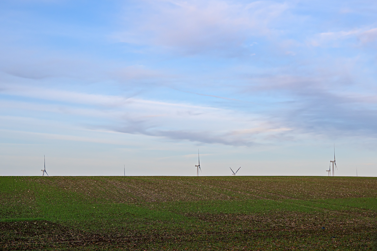 OFZ_03204.jpg