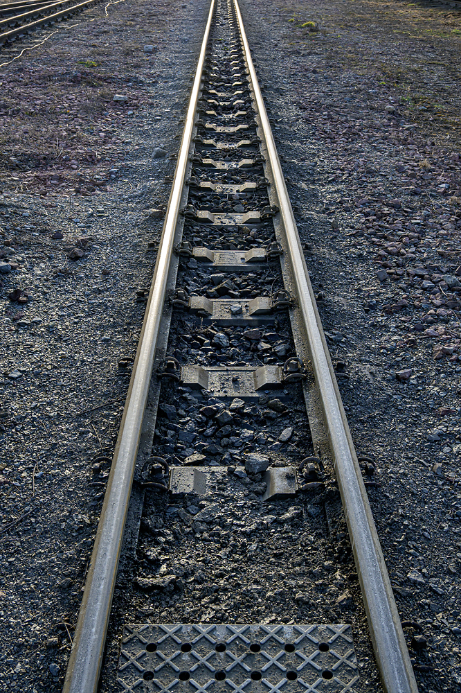 OFZ_03412.jpg
