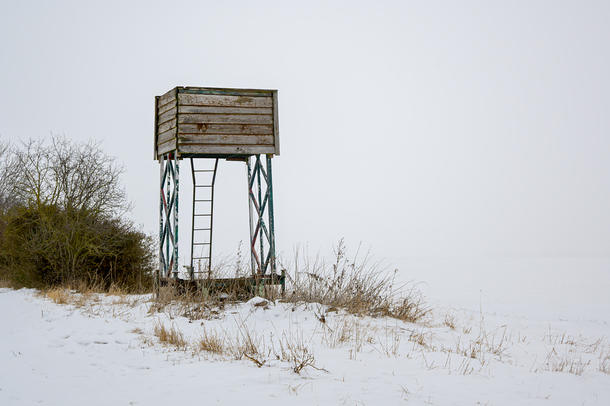 OFZ_03436.jpg