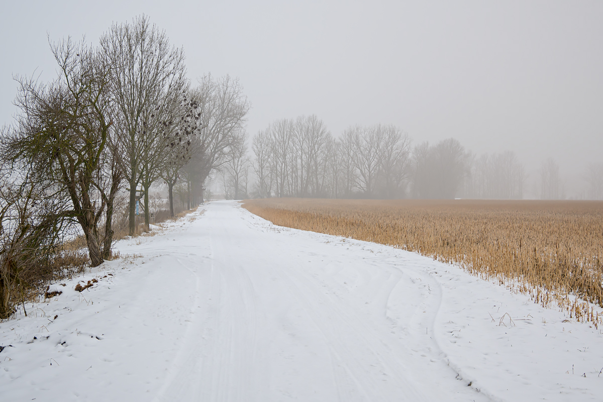 OFZ_03448.jpg