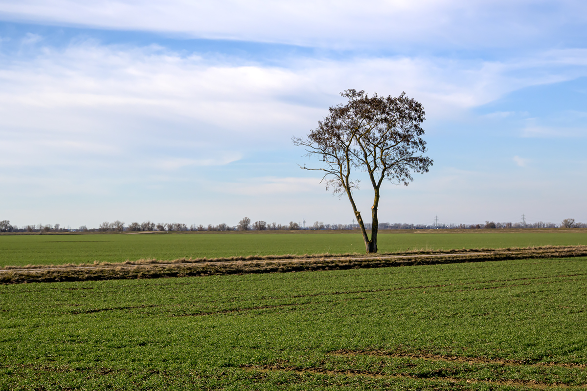 OFZ_03492.jpg