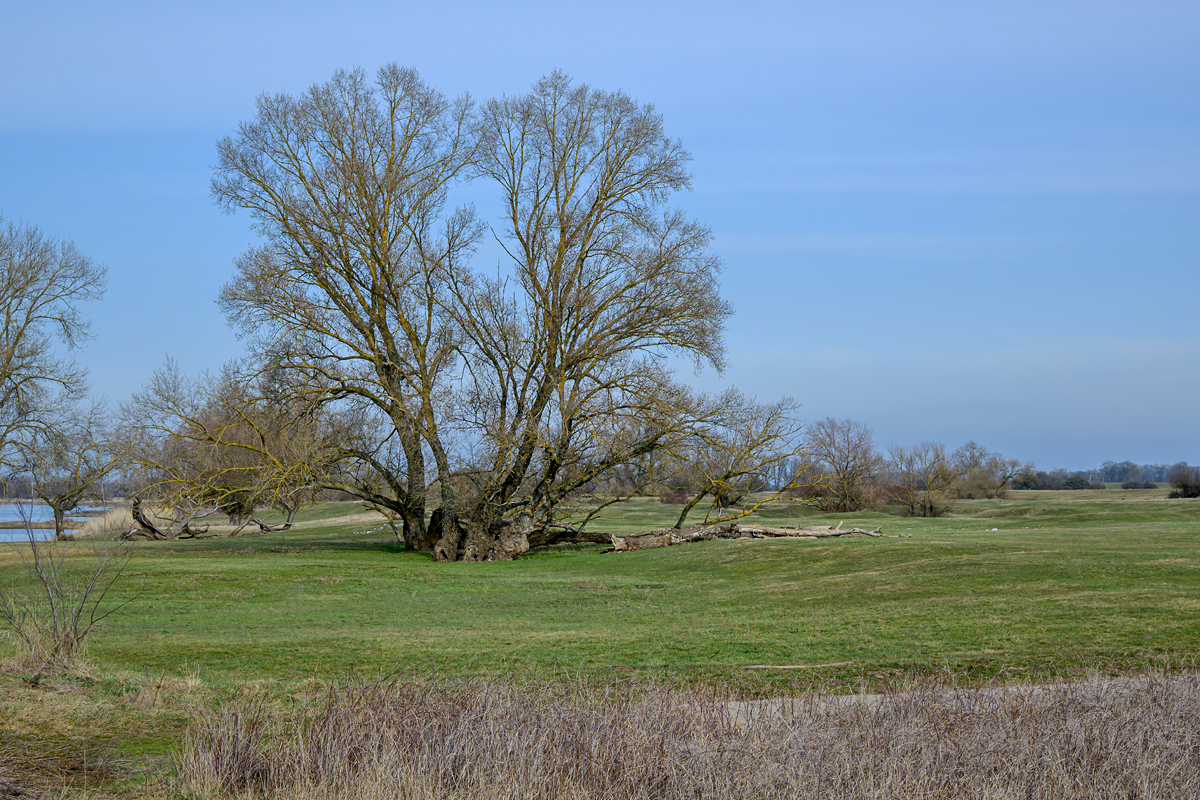 OFZ_03673.jpg