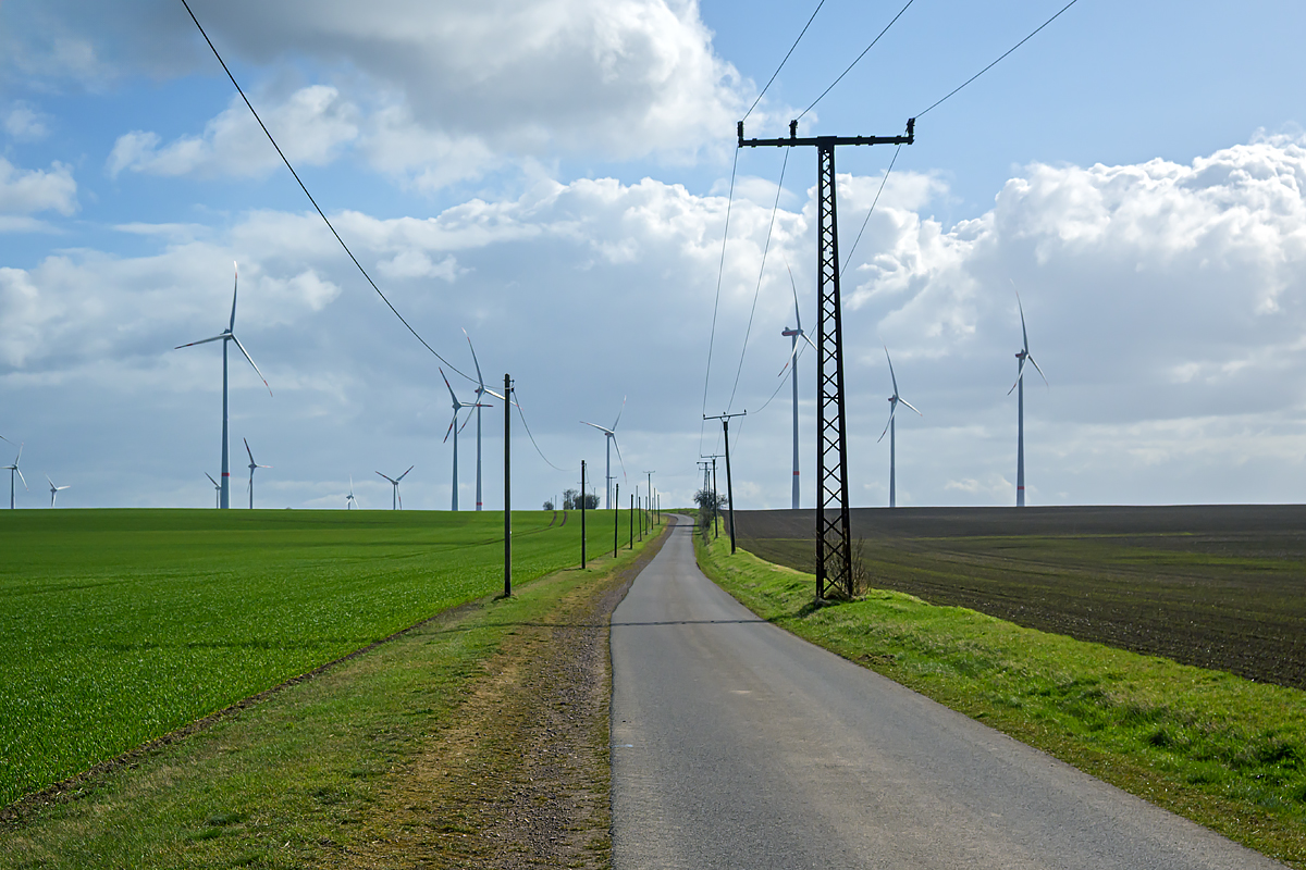 OFZ_04100.jpg