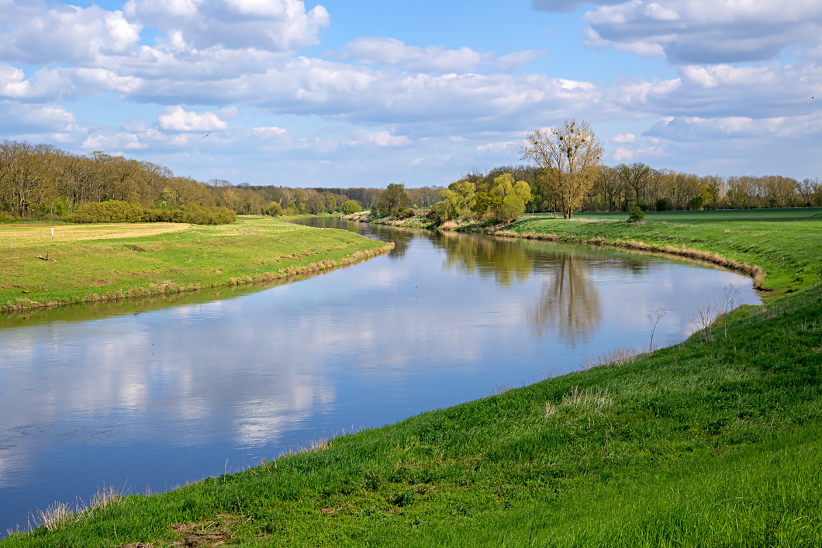 OFZ_04297.jpg