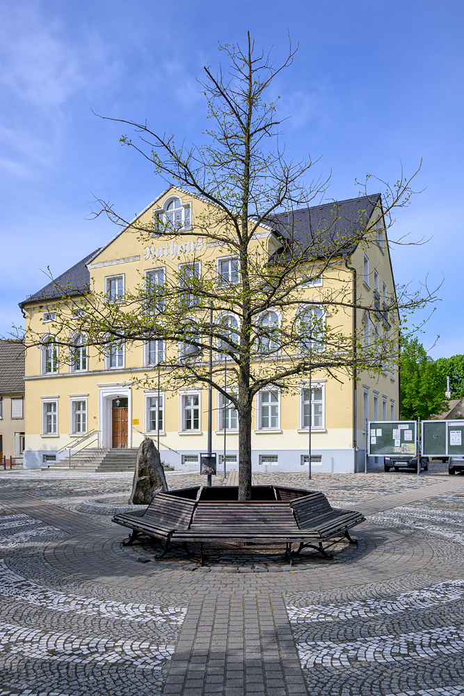 OFZ_04387.jpg