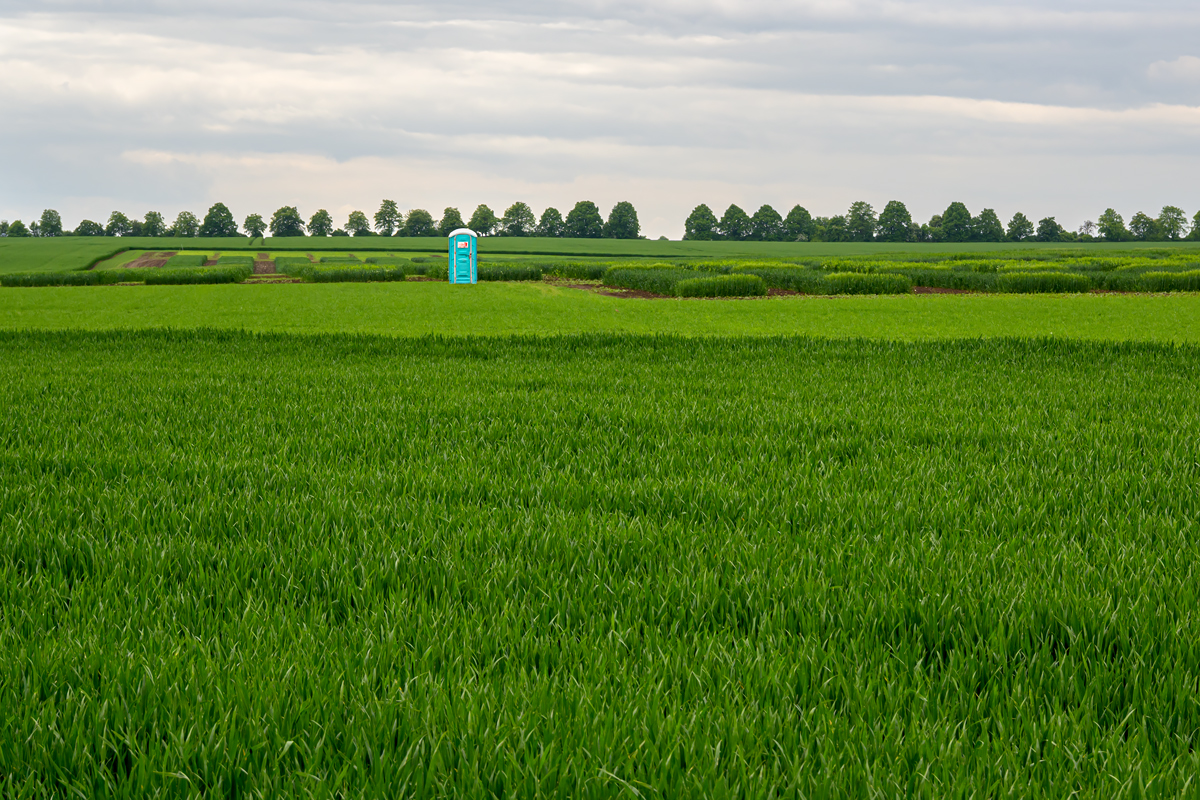 OFZ_04634.jpg