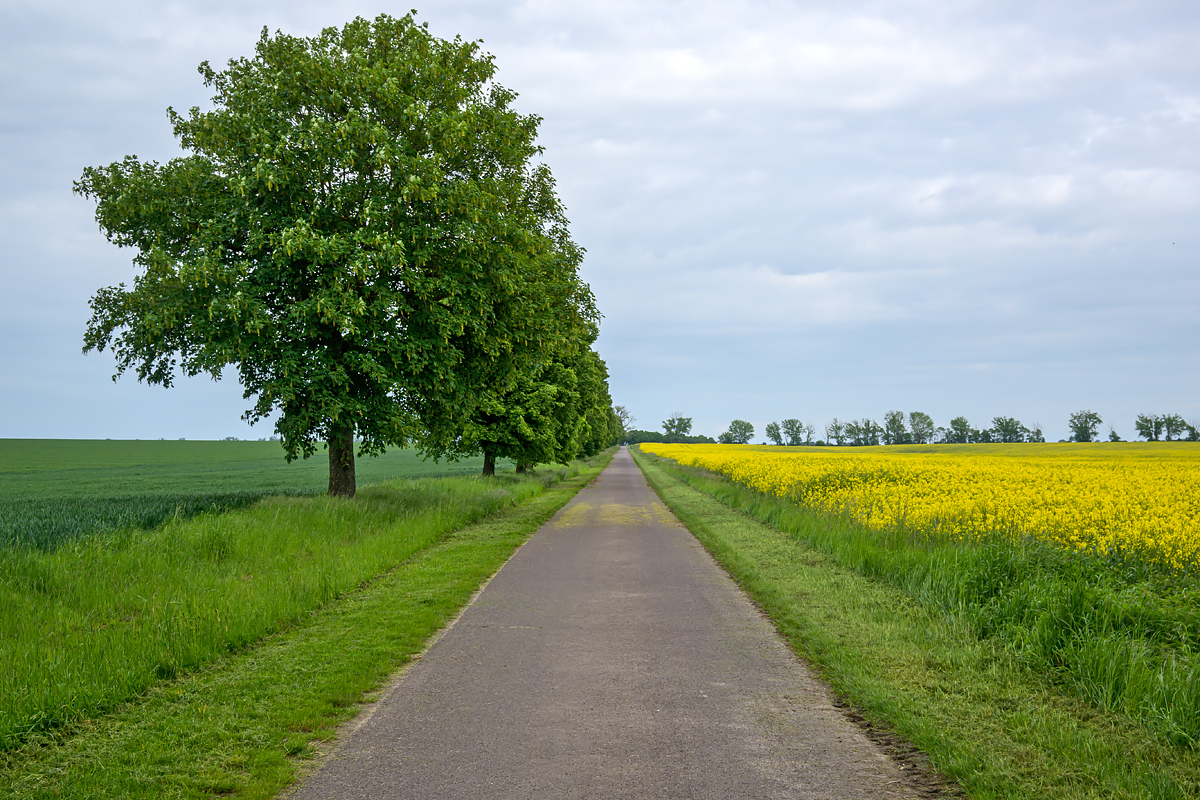OFZ_04679.jpg