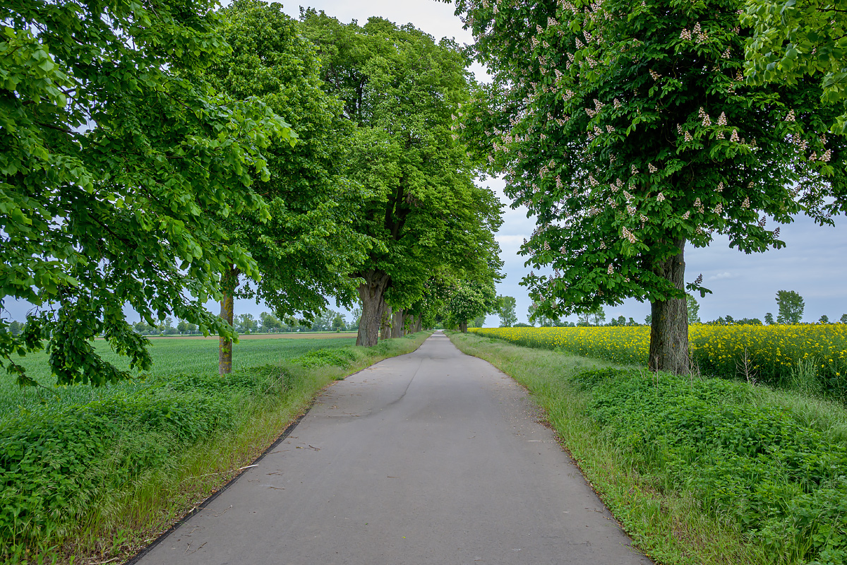OFZ_04688.jpg