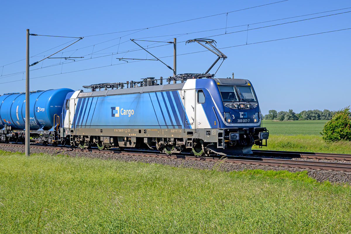 OFZ_04915.jpg