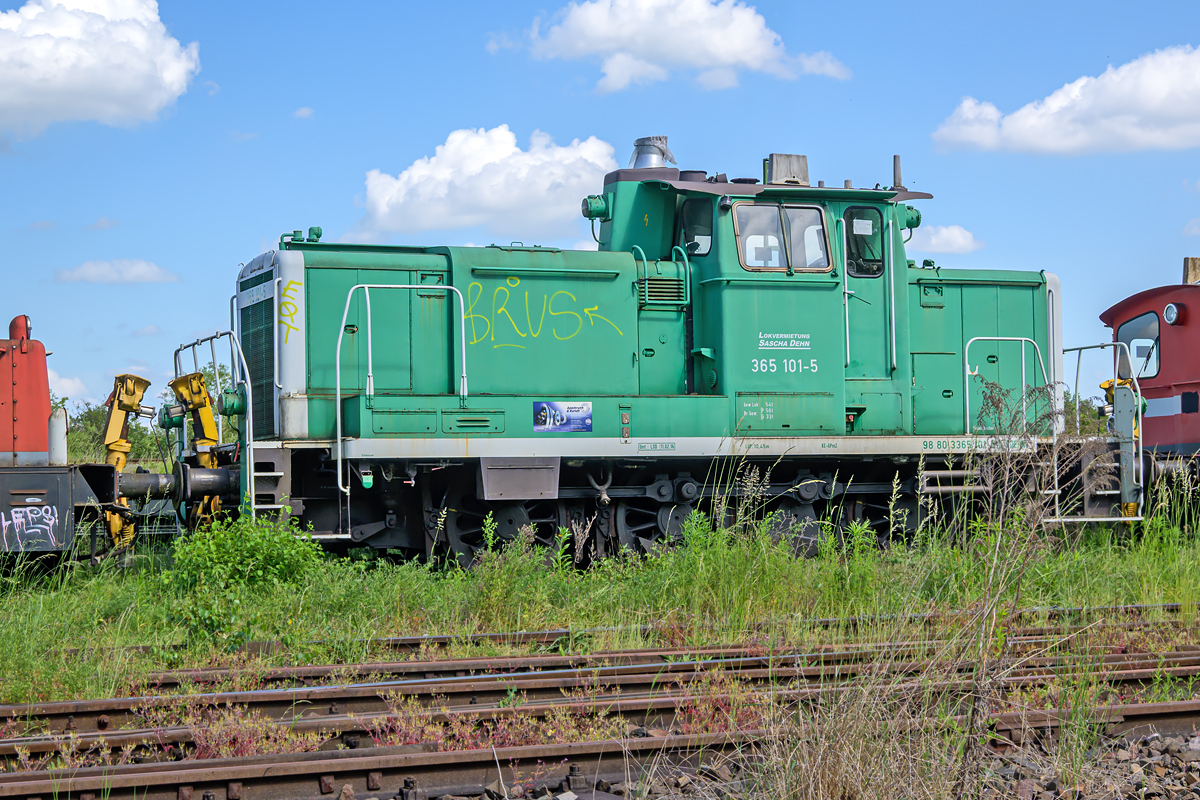 OFZ_05139.jpg