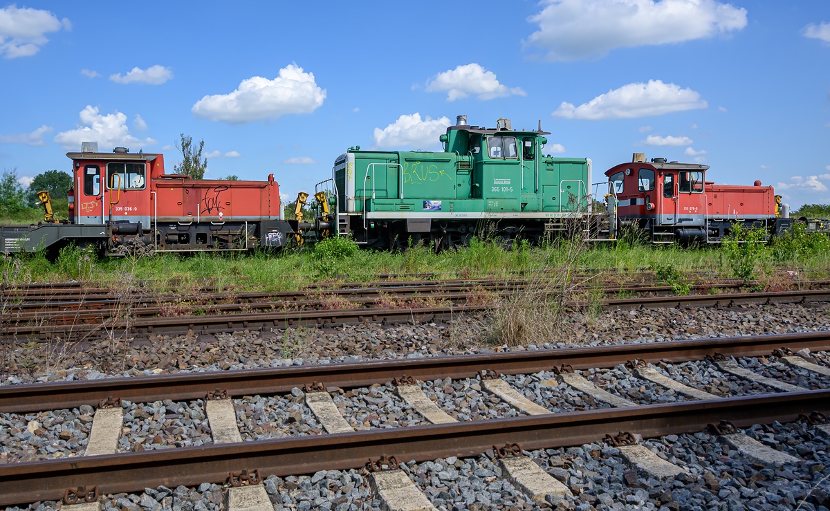 OFZ_05141.jpg