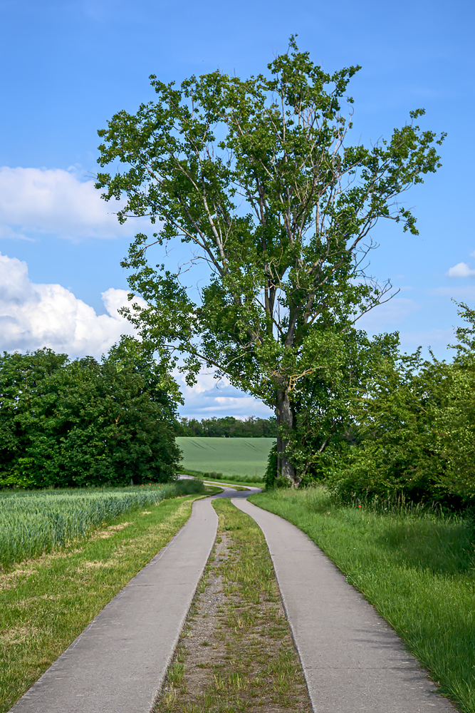 OFZ_05212.jpg