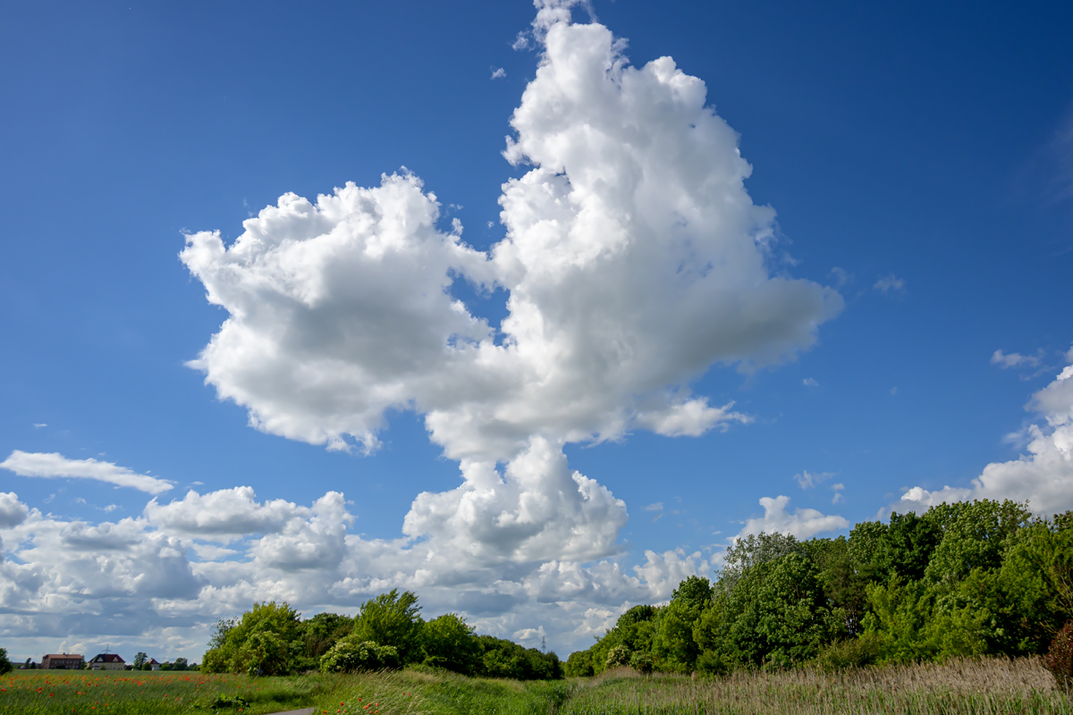 OFZ_05240.jpg