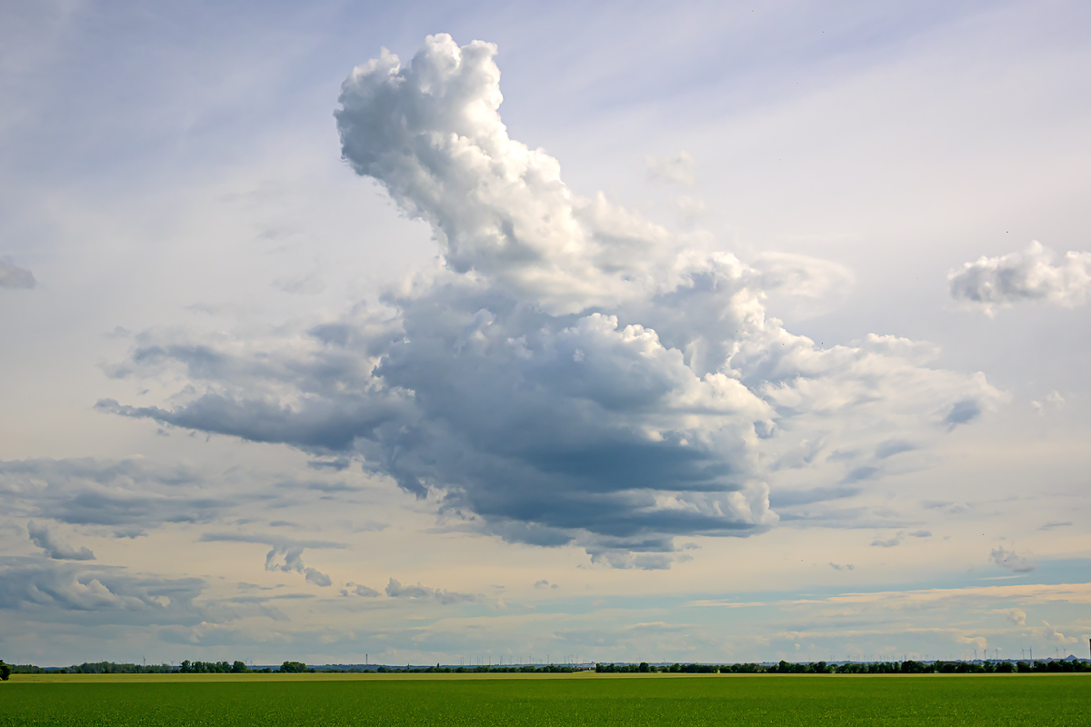 OFZ_05304.jpg