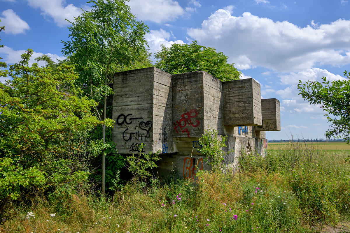OFZ_05429.jpg